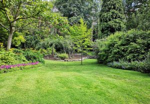 Optimiser l'expérience du jardin à Saint-Frajou