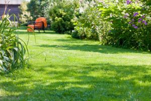 travaux jardin et paysage Saint-Frajou